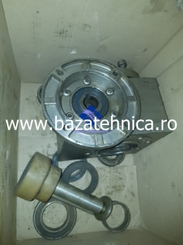 Confectionare tavi de cozonac dimensiuni mari